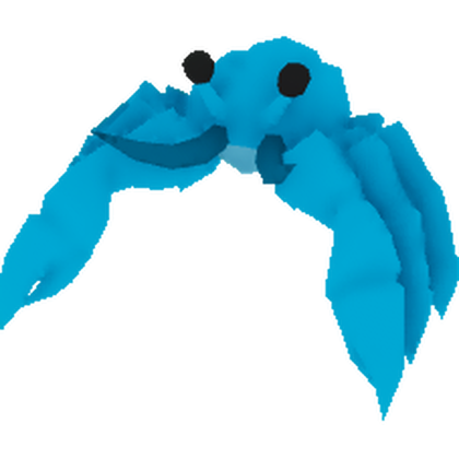 Baby Hermit Pet