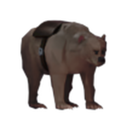 Bear Cub Mount