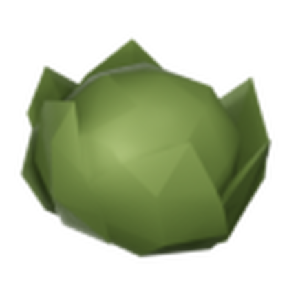 Cabbage