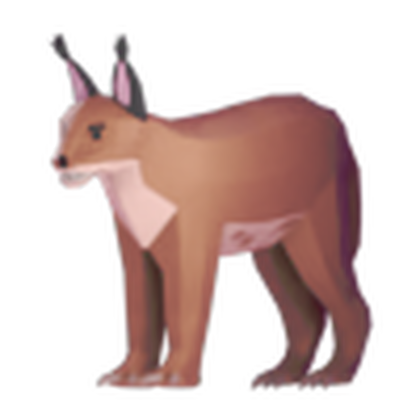 Caracal Pet