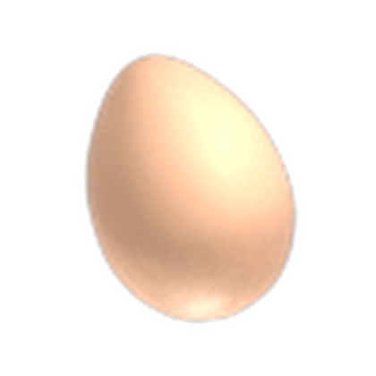 Chicken Egg