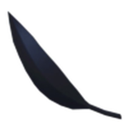 Crow Feather