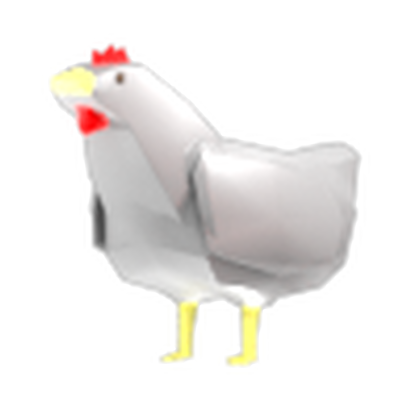 Crow Pet