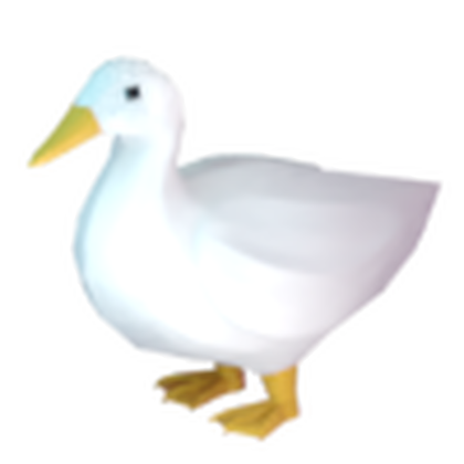 Duck Pet