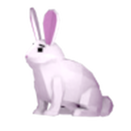 Bunny Pet