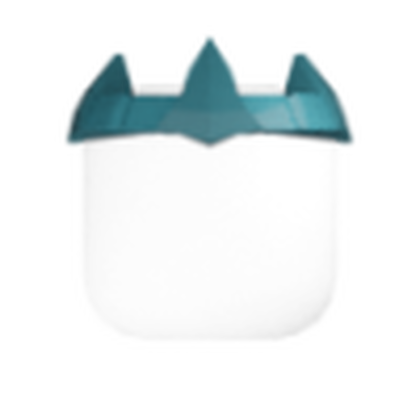 Forgotten Crown