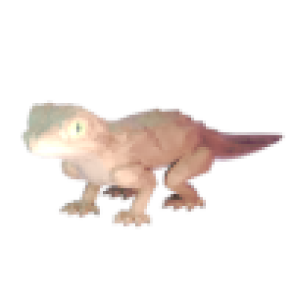 Baby Gecko Pet