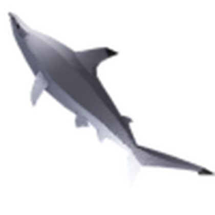 Hammerhead Shark