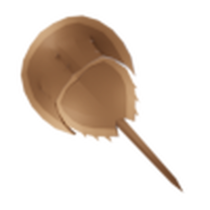 Crustacean Shield
