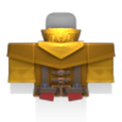 Surveyor Robes