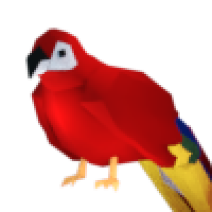 Parrot Pet