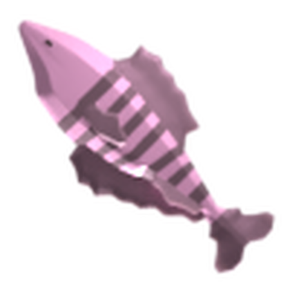 Zebra Fish