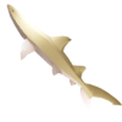Sand Shark