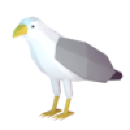 Seagull Pet