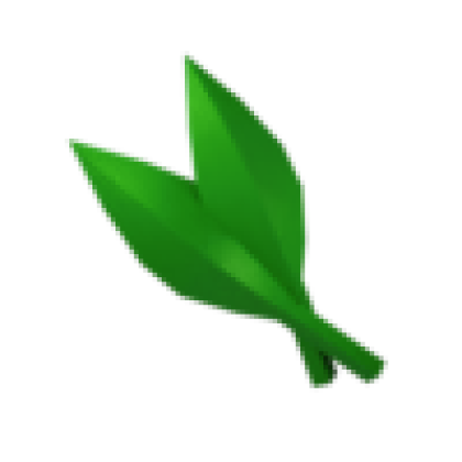 Seaweed