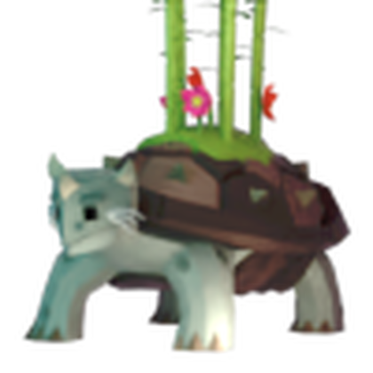 Tortoise Pet