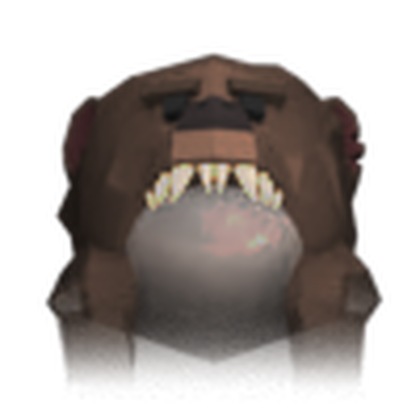 Grizzly Head