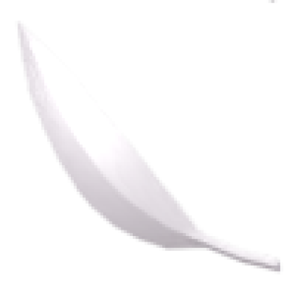White Feather